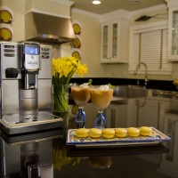 Máy pha cà phê Ý | Gaggia Anima Series