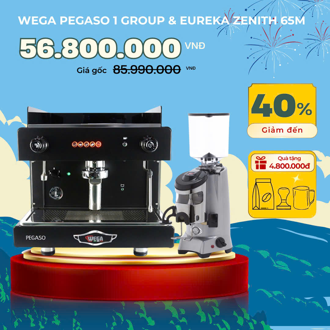 combo wega pegaso 1 group