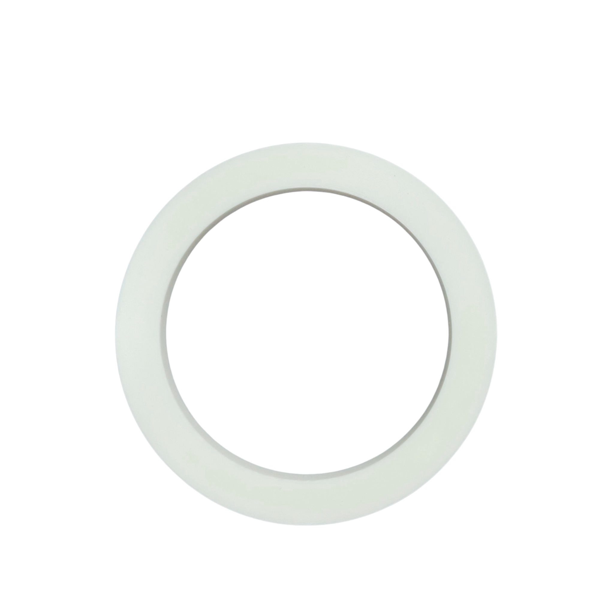 RON CAO SU BIALETTI BRIKKA INDUCTION