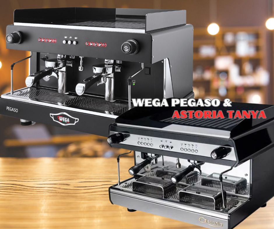 review Wega Pegaso và Astoria Tanya